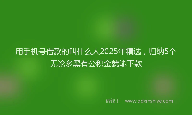 用手机号借款的叫什么人2025年精选，归纳5个无论多黑有公积金就能下款