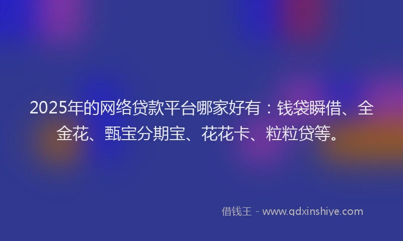 2025年的网络贷款平台哪家好有：钱袋瞬借、全金花、甄宝分期宝、花花卡、粒粒贷等。
