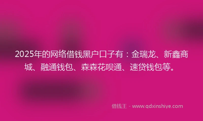 2025年的网络借钱黑户口子有：金瑞龙、新鑫商城、融通钱包、森森花呗通、速贷钱包等。