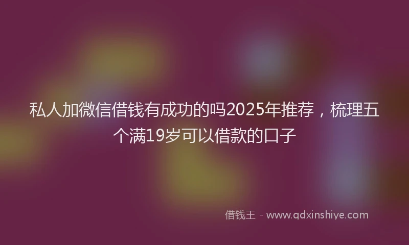 私人加微信借钱有成功的吗2025年推荐，梳理五个满19岁可以借款的口子