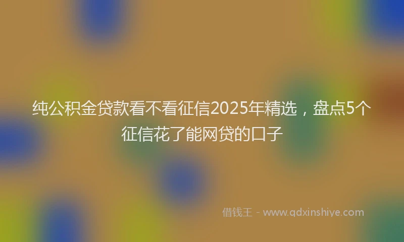 纯公积金贷款看不看征信2025年精选，盘点5个征信花了能网贷的口子