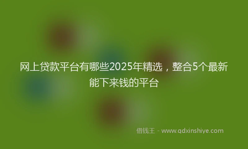 网上贷款平台有哪些2025年精选，整合5个最新能下来钱的平台