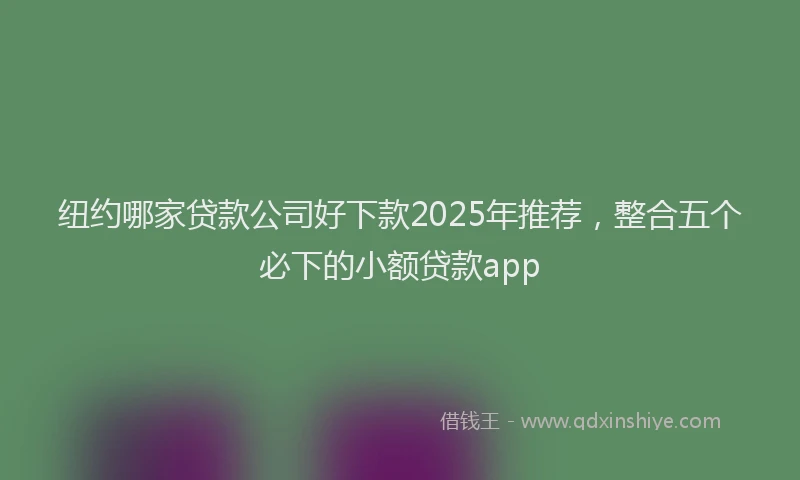 纽约哪家贷款公司好下款2025年推荐，整合五个必下的小额贷款app