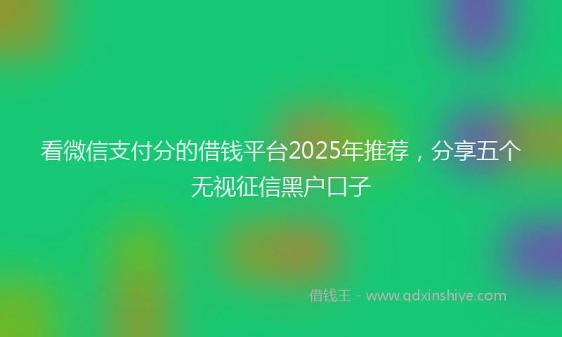 看微信支付分的借钱平台2025年推荐，分享五个无视征信黑户口子
