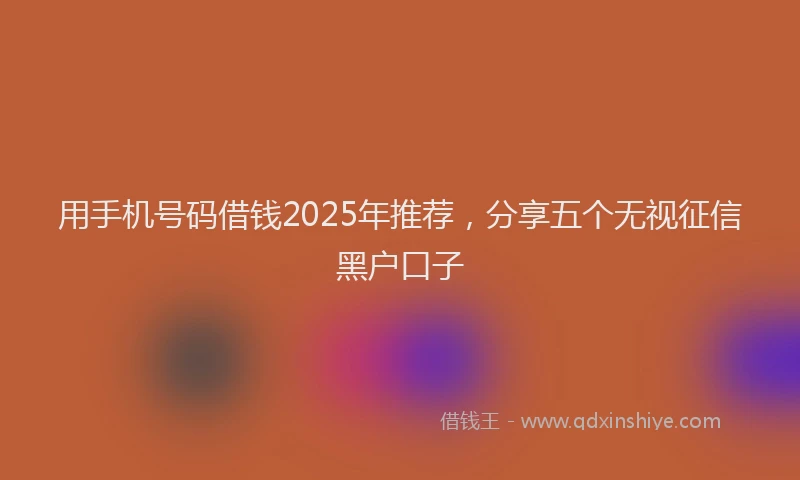 用手机号码借钱2025年推荐，分享五个无视征信黑户口子