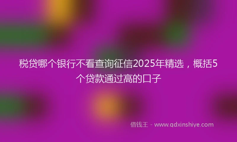 税贷哪个银行不看查询征信2025年精选，概括5个贷款通过高的口子