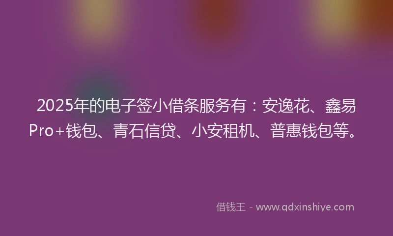 2025年的电子签小借条服务有：安逸花、鑫易Pro+钱包、青石信贷、小安租机、普惠钱包等。