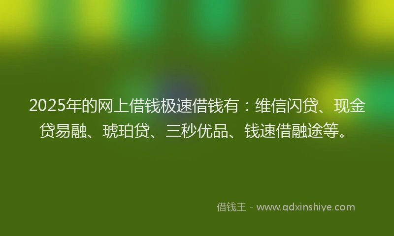 2025年的网上借钱极速借钱有：维信闪贷、现金贷易融、琥珀贷、三秒优品、钱速借融途等。