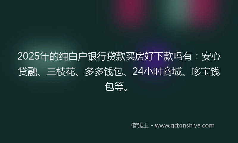 2025年的纯白户银行贷款买房好下款吗有：安心贷融、三枝花、多多钱包、24小时商城、哆宝钱包等。