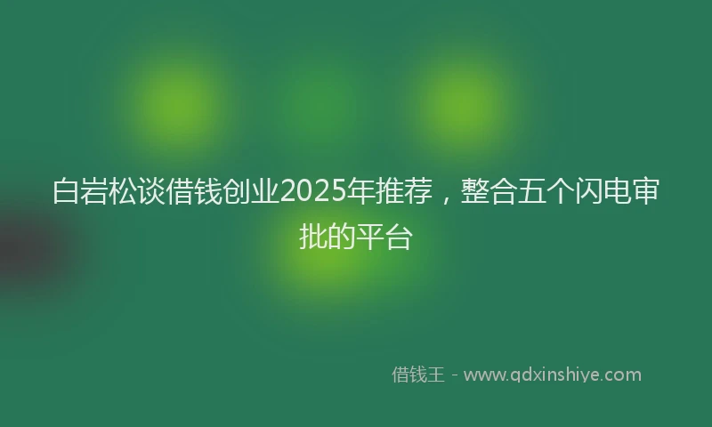 白岩松谈借钱创业2025年推荐，整合五个闪电审批的平台