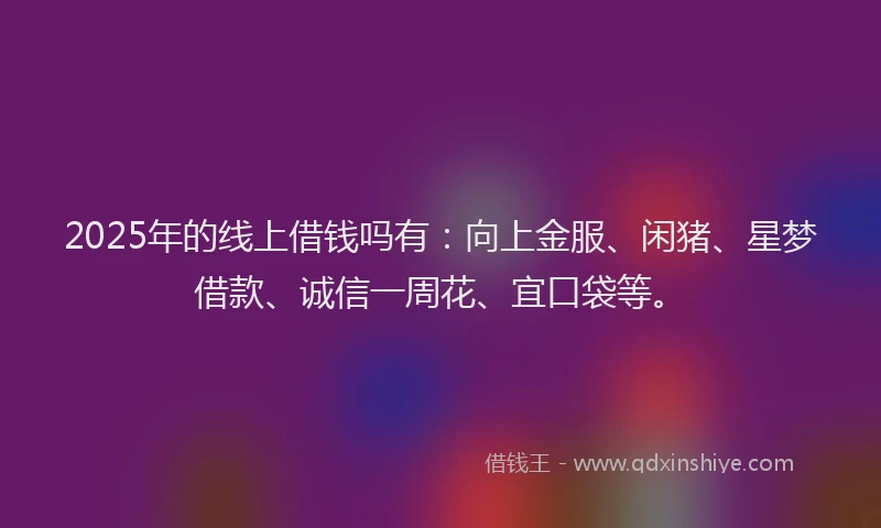 2025年的线上借钱吗有：向上金服、闲猪、星梦借款、诚信一周花、宜口袋等。
