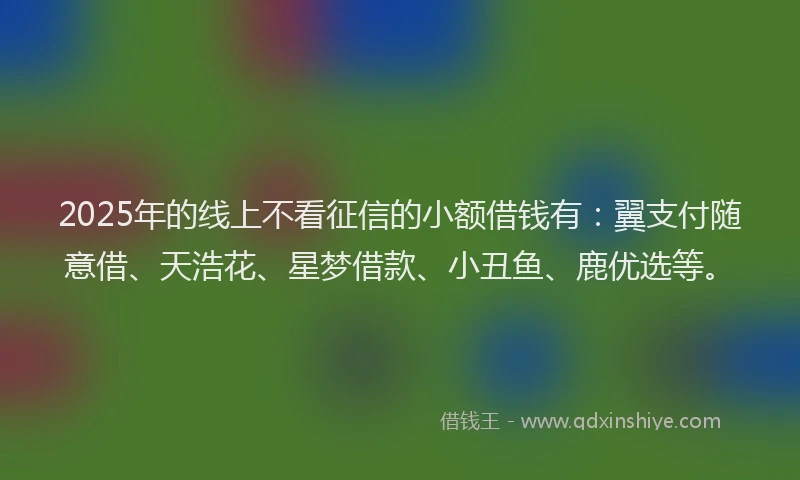 2025年的线上不看征信的小额借钱有：翼支付随意借、天浩花、星梦借款、小丑鱼、鹿优选等。