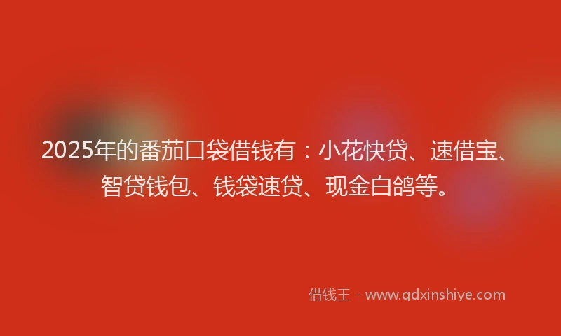 2025年的番茄口袋借钱有：小花快贷、速借宝、智贷钱包、钱袋速贷、现金白鸽等。