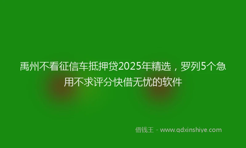 禹州不看征信车抵押贷2025年精选，罗列5个急用不求评分快借无忧的软件