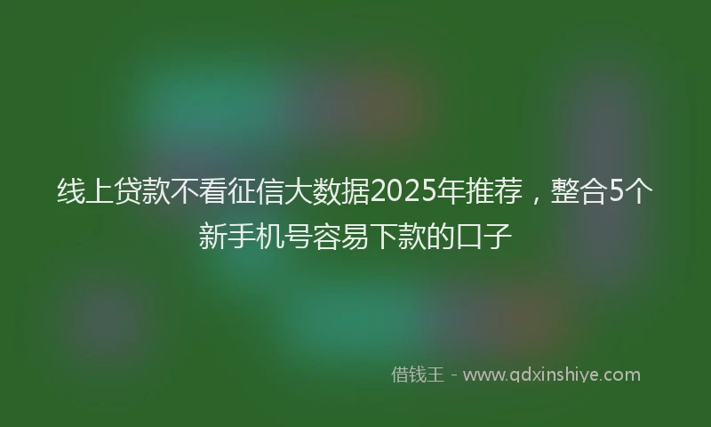 线上贷款不看征信大数据2025年推荐，整合5个新手机号容易下款的口子
