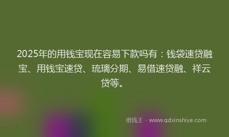 2025年的用钱宝现在容易下款吗有：钱袋速贷融宝、用钱宝速贷、琉璃分期、易借速贷融、祥云贷等。