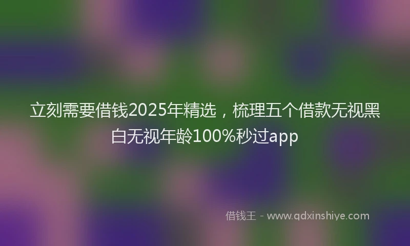 立刻需要借钱2025年精选，梳理五个借款无视黑白无视年龄100%秒过app