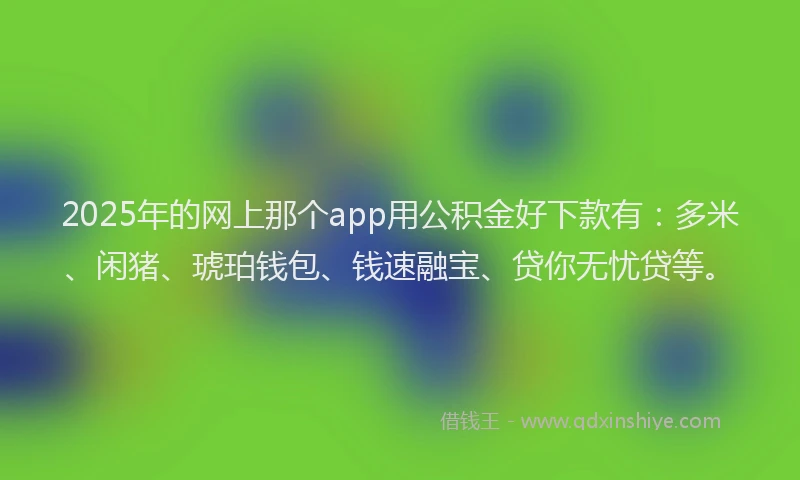 2025年的网上那个app用公积金好下款有：多米、闲猪、琥珀钱包、钱速融宝、贷你无忧贷等。