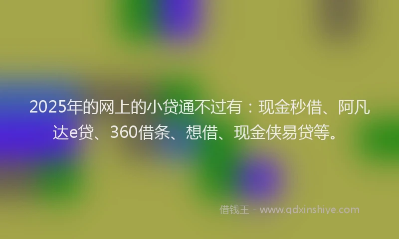 2025年的网上的小贷通不过有：现金秒借、阿凡达e贷、360借条、想借、现金侠易贷等。