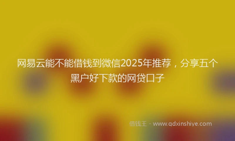 网易云能不能借钱到微信2025年推荐，分享五个黑户好下款的网贷口子