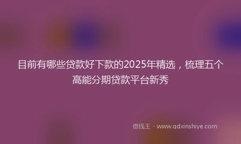 目前有哪些贷款好下款的2025年精选，梳理五个高能分期贷款平台新秀