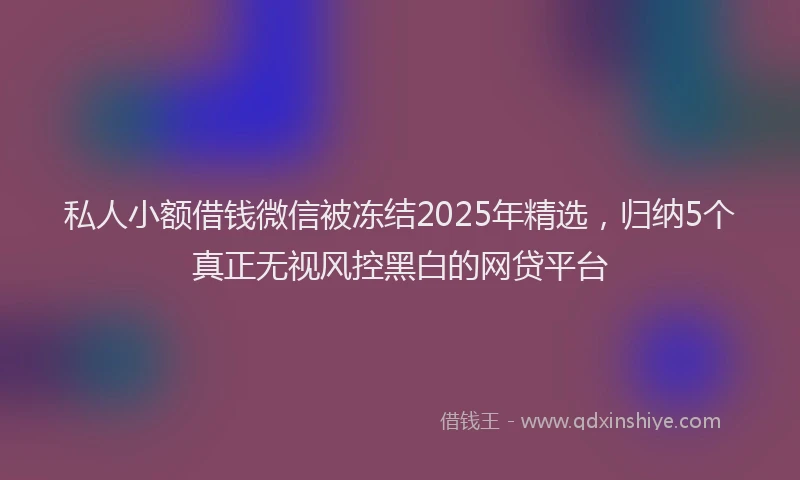 私人小额借钱微信被冻结2025年精选，归纳5个真正无视风控黑白的网贷平台