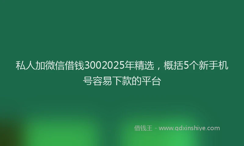 私人加微信借钱3002025年精选，概括5个新手机号容易下款的平台