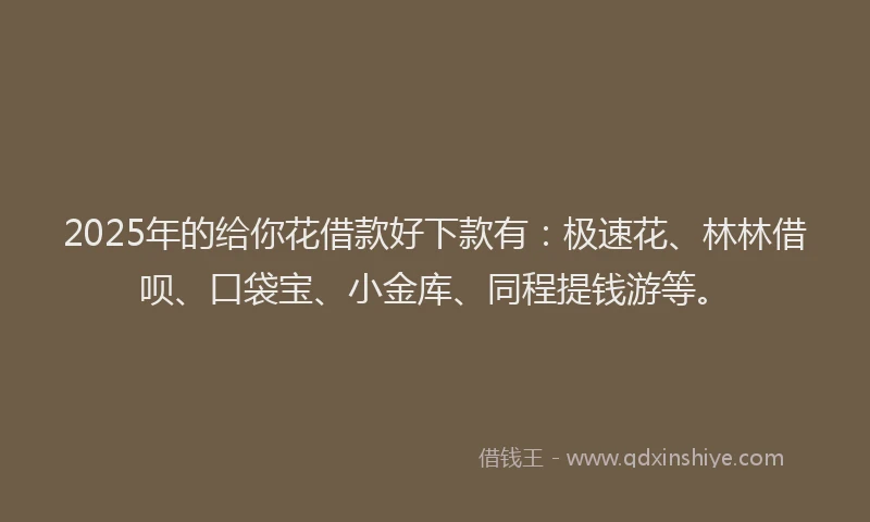 2025年的给你花借款好下款有：极速花、林林借呗、口袋宝、小金库、同程提钱游等。