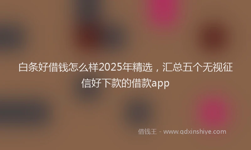 白条好借钱怎么样2025年精选，汇总五个无视征信好下款的借款app