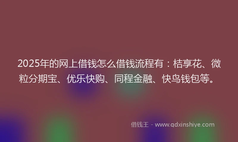 2025年的网上借钱怎么借钱流程有：桔享花、微粒分期宝、优乐快购、同程金融、快鸟钱包等。
