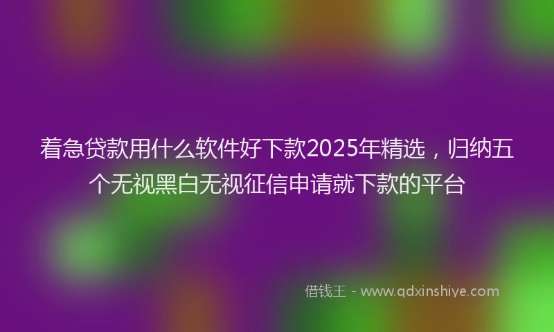 着急贷款用什么软件好下款2025年精选，归纳五个无视黑白无视征信申请就下款的平台