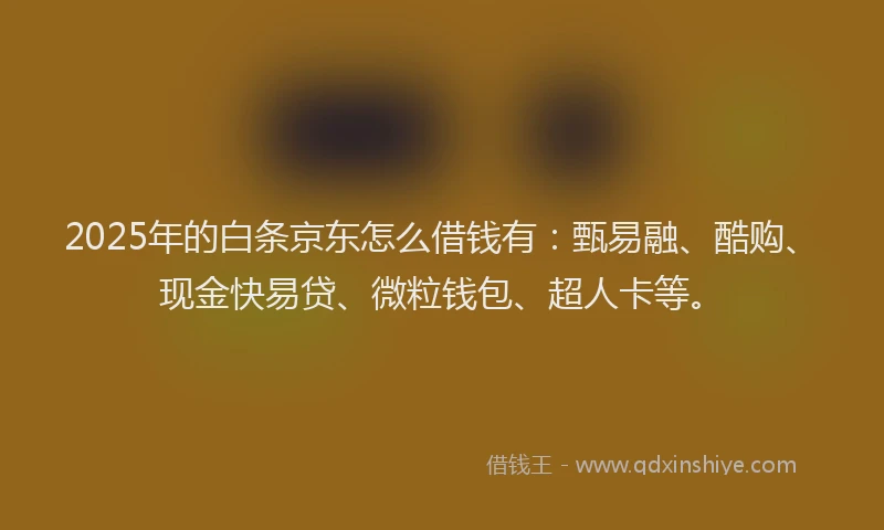 2025年的白条京东怎么借钱有：甄易融、酷购、现金快易贷、微粒钱包、超人卡等。