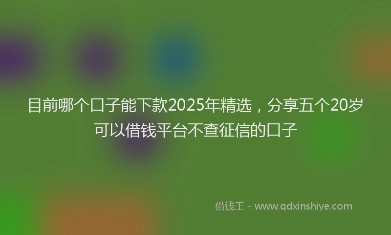 目前哪个口子能下款2025年精选，分享五个20岁可以借钱平台不查征信的口子