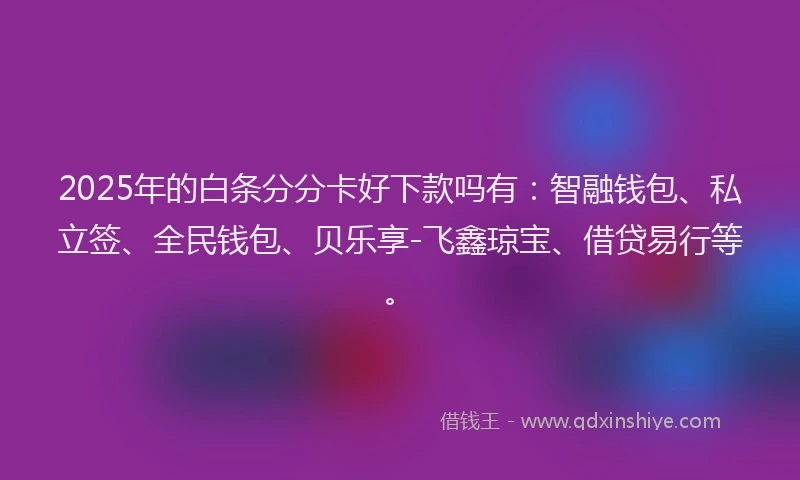 2025年的白条分分卡好下款吗有：智融钱包、私立签、全民钱包、贝乐享-飞鑫琼宝、借贷易行等。