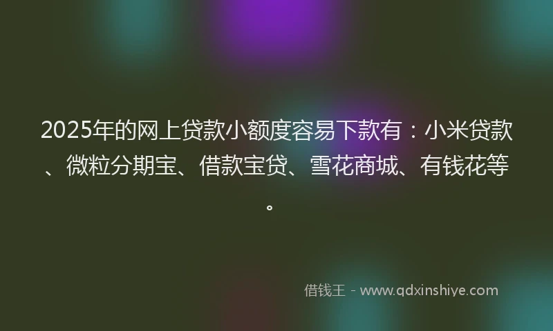 2025年的网上贷款小额度容易下款有：小米贷款、微粒分期宝、借款宝贷、雪花商城、有钱花等。