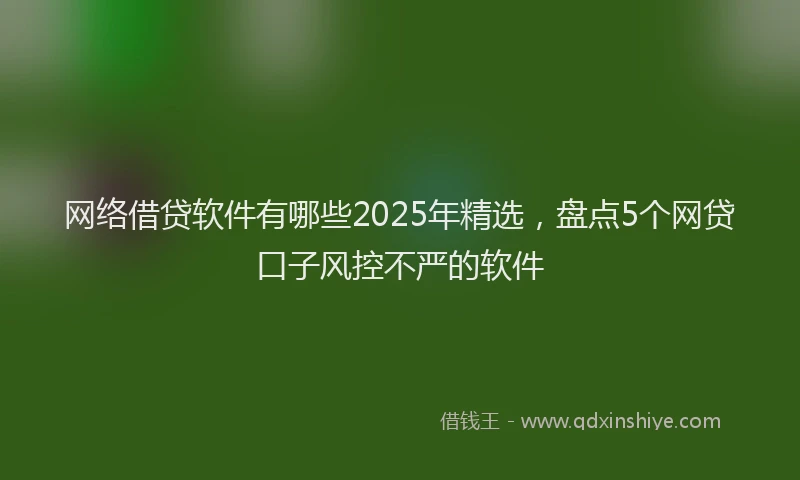 网络借贷软件有哪些2025年精选，盘点5个网贷口子风控不严的软件