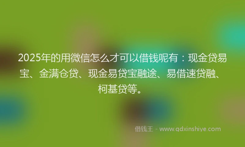 2025年的用微信怎么才可以借钱呢有：现金贷易宝、金满仓贷、现金易贷宝融途、易借速贷融、柯基贷等。