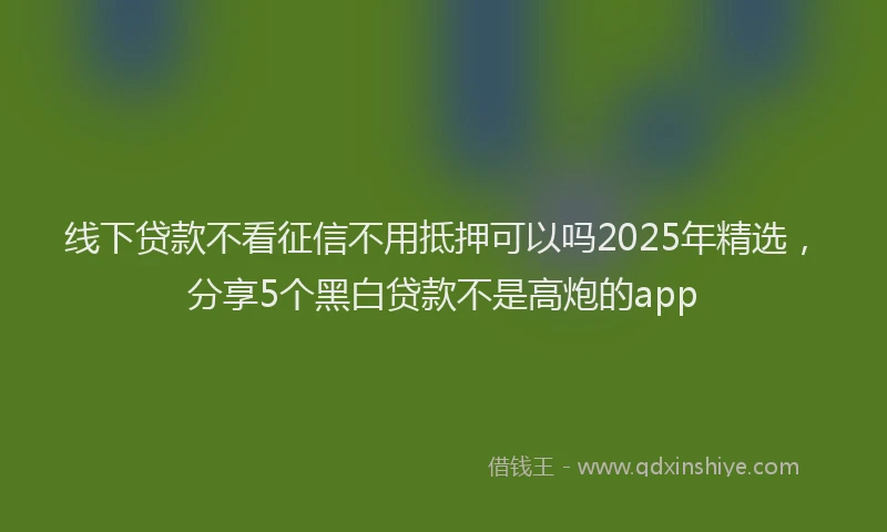 线下贷款不看征信不用抵押可以吗2025年精选，分享5个黑白贷款不是高炮的app