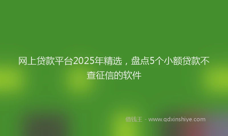 网上贷款平台2025年精选，盘点5个小额贷款不查征信的软件
