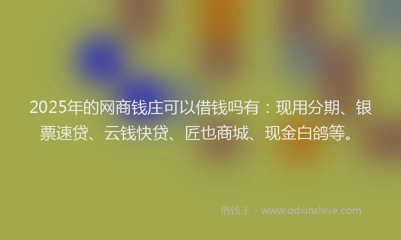 2025年的网商钱庄可以借钱吗有：现用分期、银票速贷、云钱快贷、匠也商城、现金白鸽等。