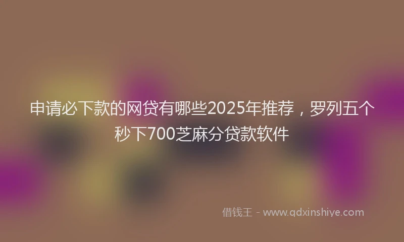 申请必下款的网贷有哪些2025年推荐，罗列五个秒下700芝麻分贷款软件