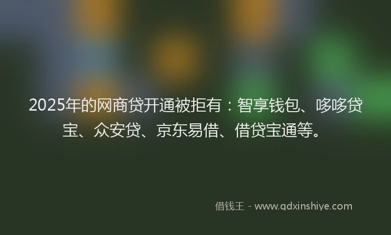 2025年的网商贷开通被拒有：智享钱包、哆哆贷宝、众安贷、京东易借、借贷宝通等。