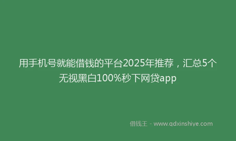 用手机号就能借钱的平台2025年推荐，汇总5个无视黑白100%秒下网贷app