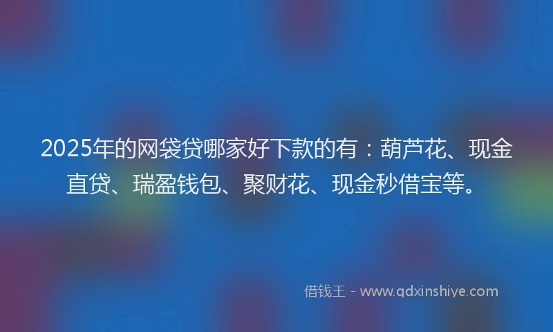 2025年的网袋贷哪家好下款的有：葫芦花、现金直贷、瑞盈钱包、聚财花、现金秒借宝等。
