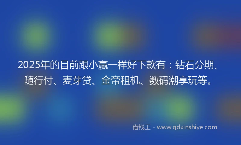 2025年的目前跟小赢一样好下款有：钻石分期、随行付、麦芽贷、金帝租机、数码潮享玩等。
