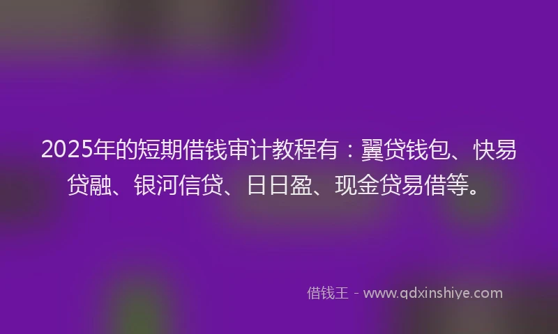 2025年的短期借钱审计教程有：翼贷钱包、快易贷融、银河信贷、日日盈、现金贷易借等。