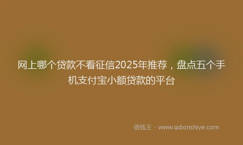 网上哪个贷款不看征信2025年推荐，盘点五个手机支付宝小额贷款的平台