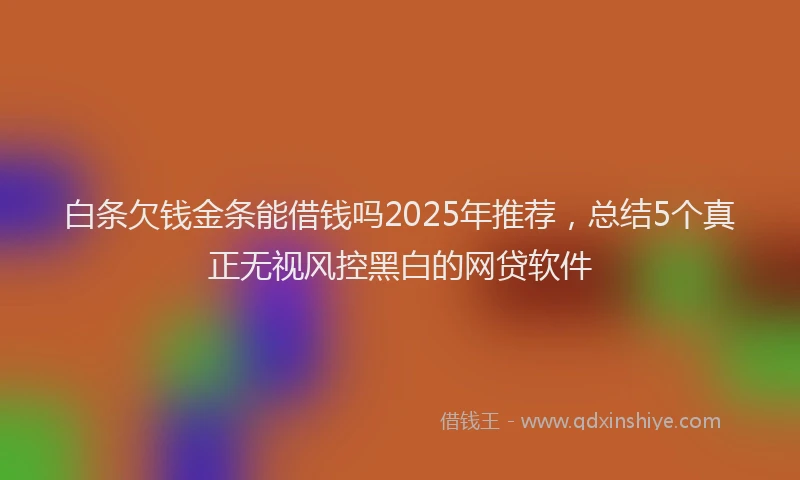 白条欠钱金条能借钱吗2025年推荐，总结5个真正无视风控黑白的网贷软件