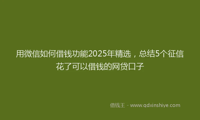用微信如何借钱功能2025年精选，总结5个征信花了可以借钱的网贷口子