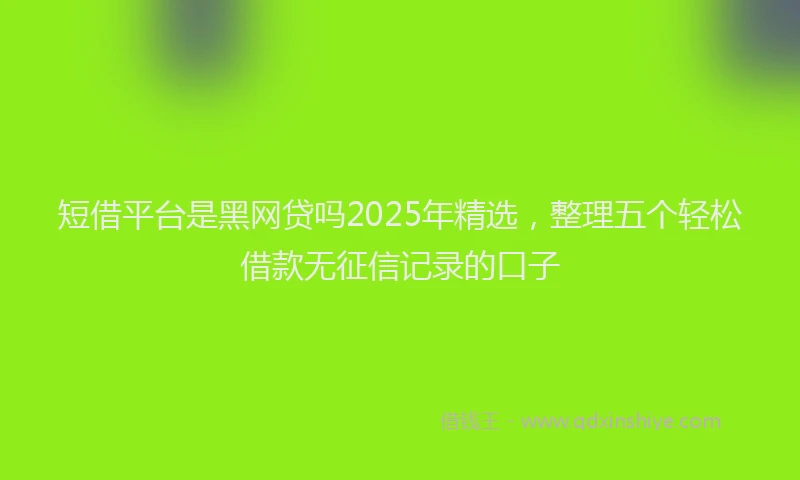 短借平台是黑网贷吗2025年精选，整理五个轻松借款无征信记录的口子
